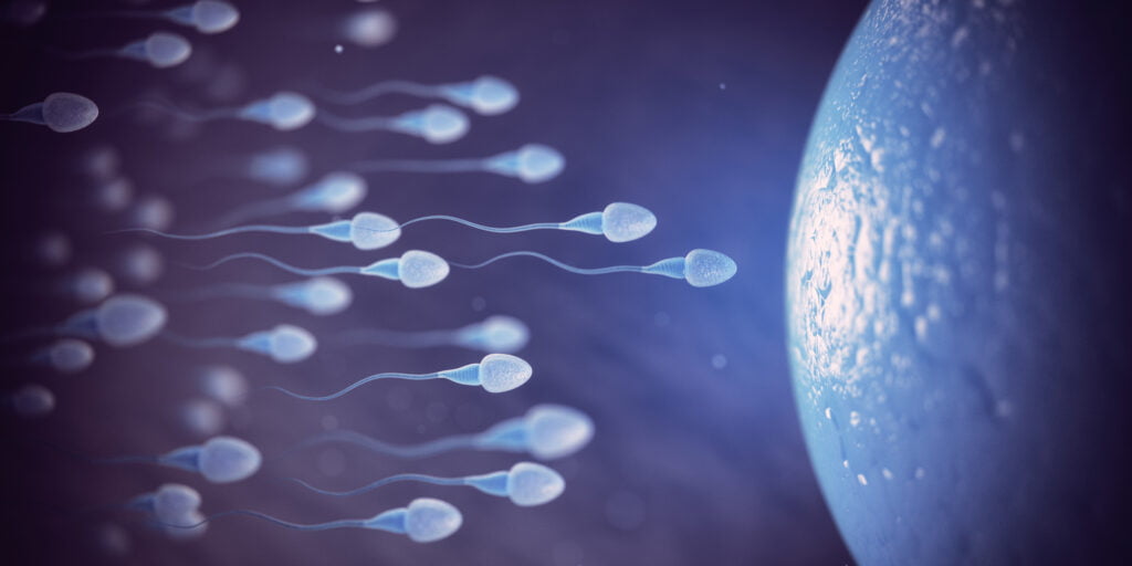 Supplement to Boost Sperm Count